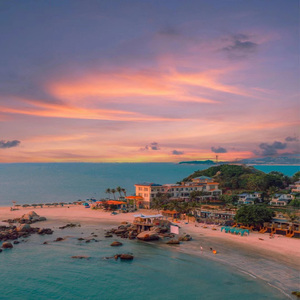 gv在线观看网址
